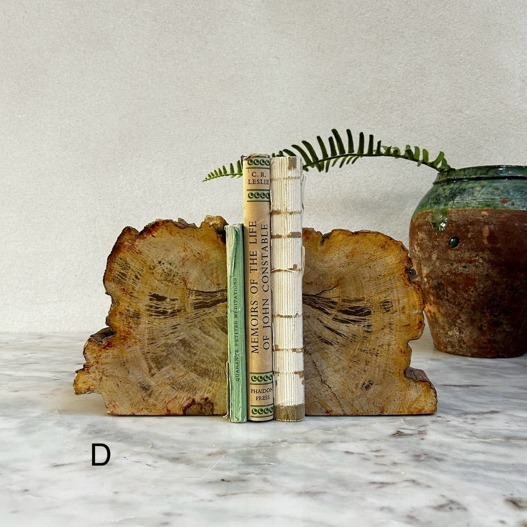 Petrified Wood Pair of Bookends