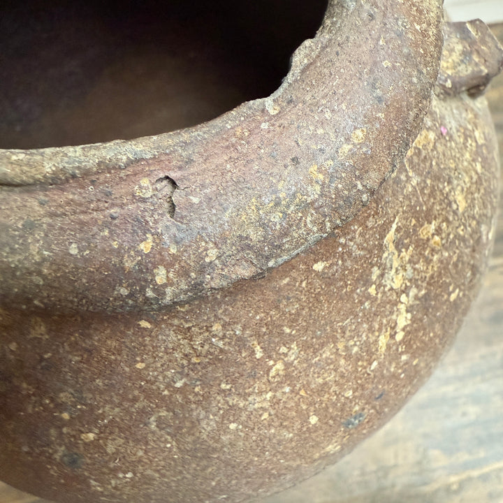 14th Century Shipwreck pot | Darlina