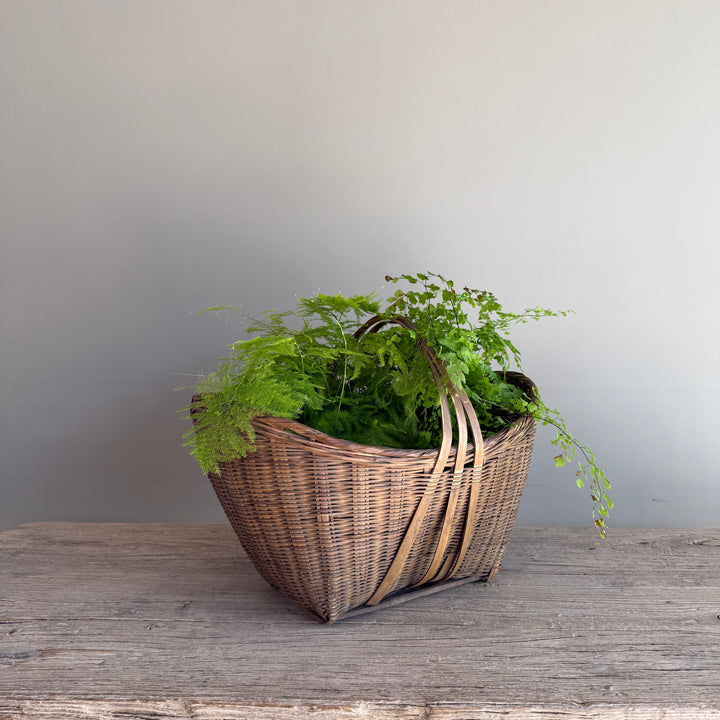 Antique trug market basket