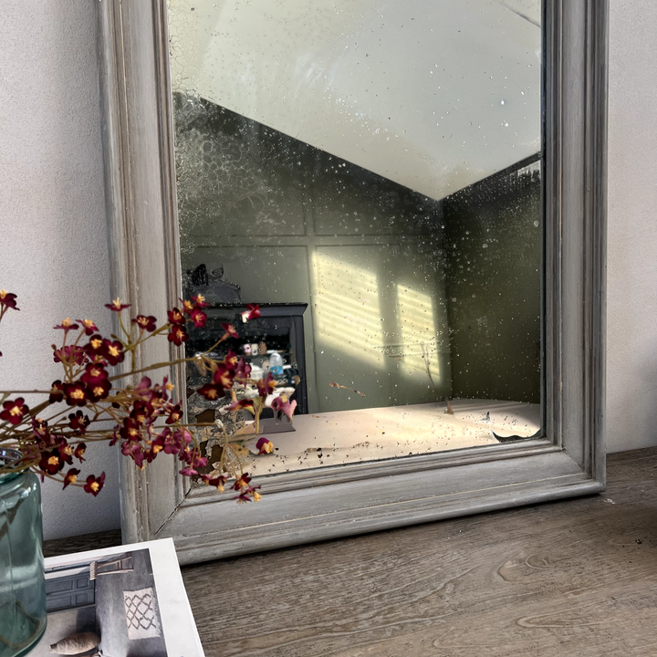 Antique Grey French Fox Mirror Aimee