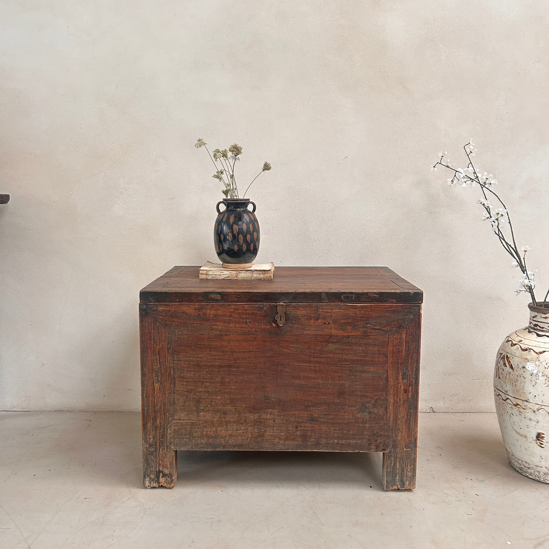 Antique Dark Wood Storage Chest | Jude