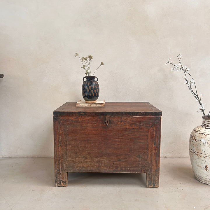 Antique Dark Wood Storage Chest | Jude