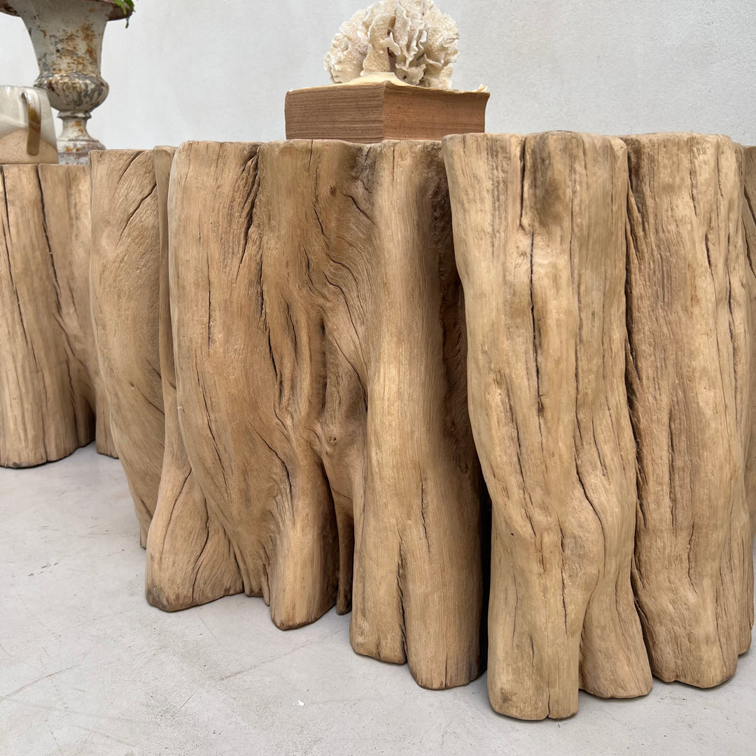 Ancient Tree Trunk Side Table Bruton