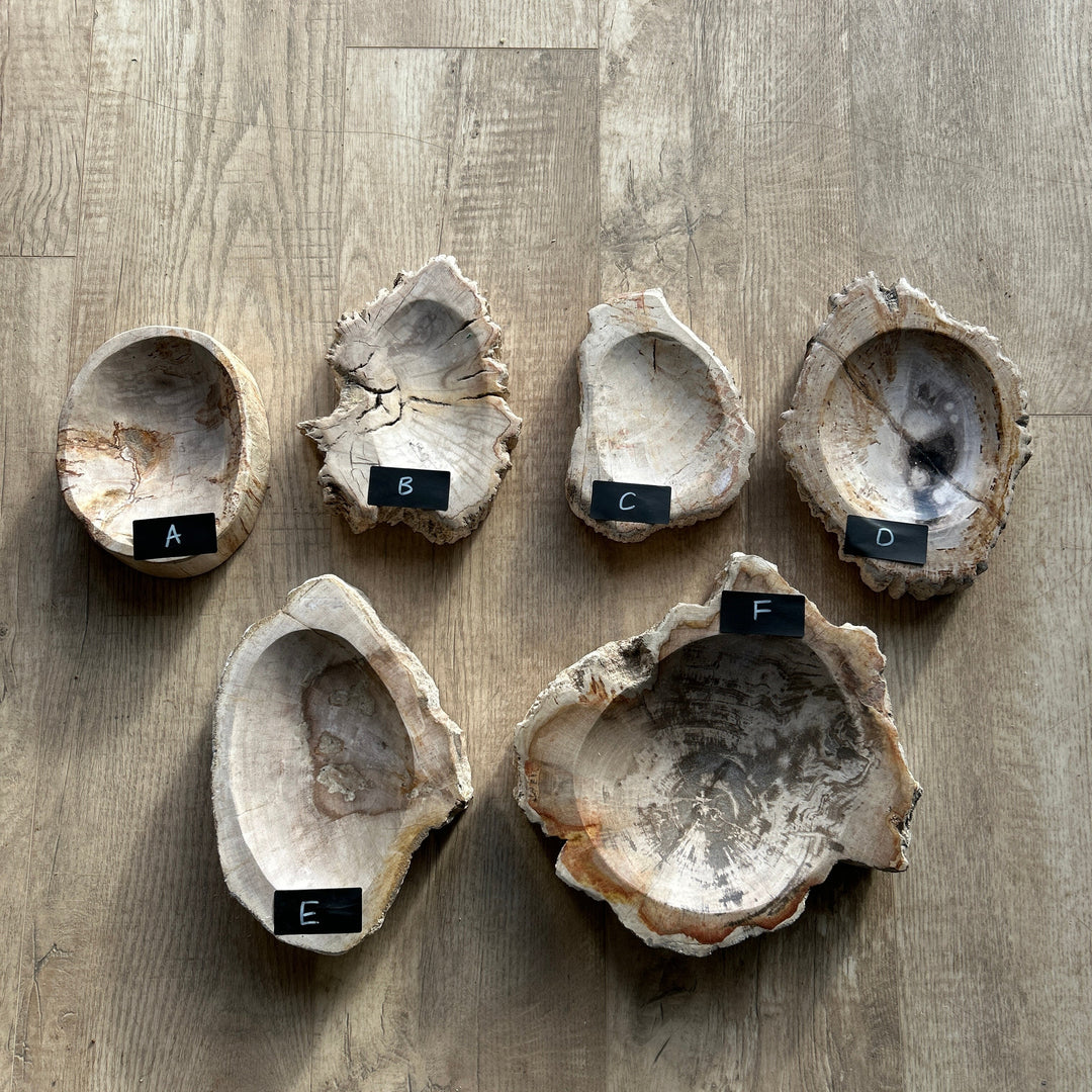 Petrified Wood stone Bowls