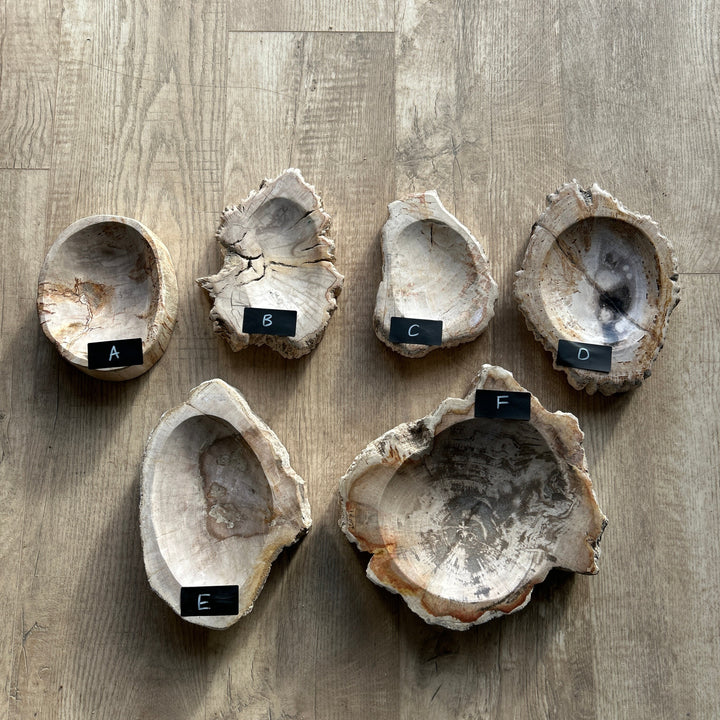 Petrified Wood stone Bowls