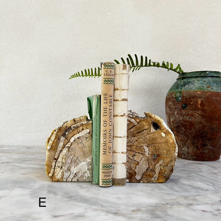 Petrified Wood Pair of Bookends
