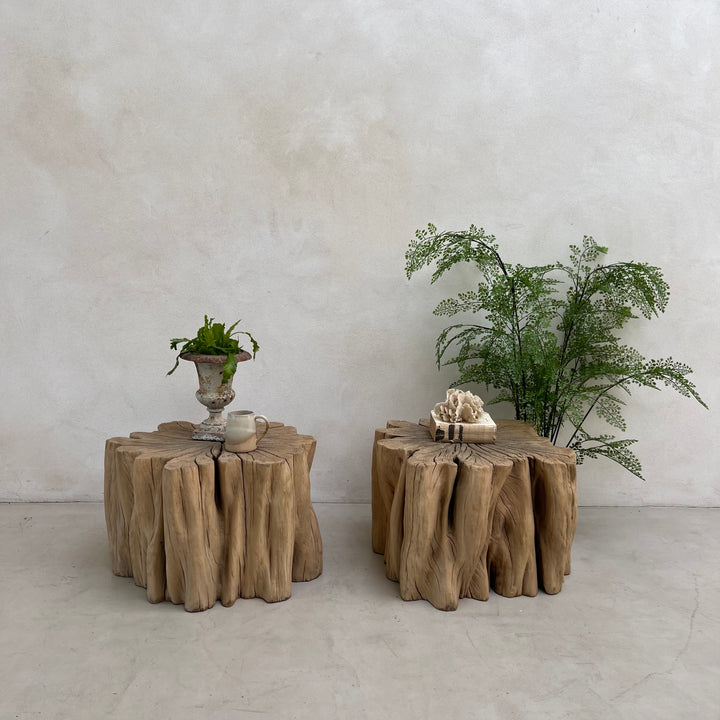 Ancient Tree Trunk Side Table Bruton