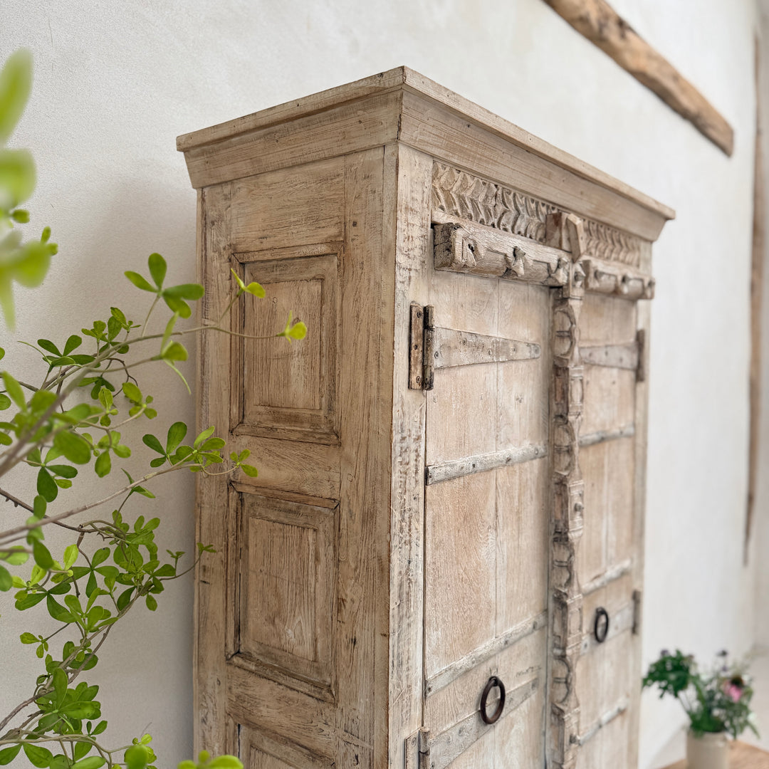 Salvaged Indian Antique Door Cupboard Rena