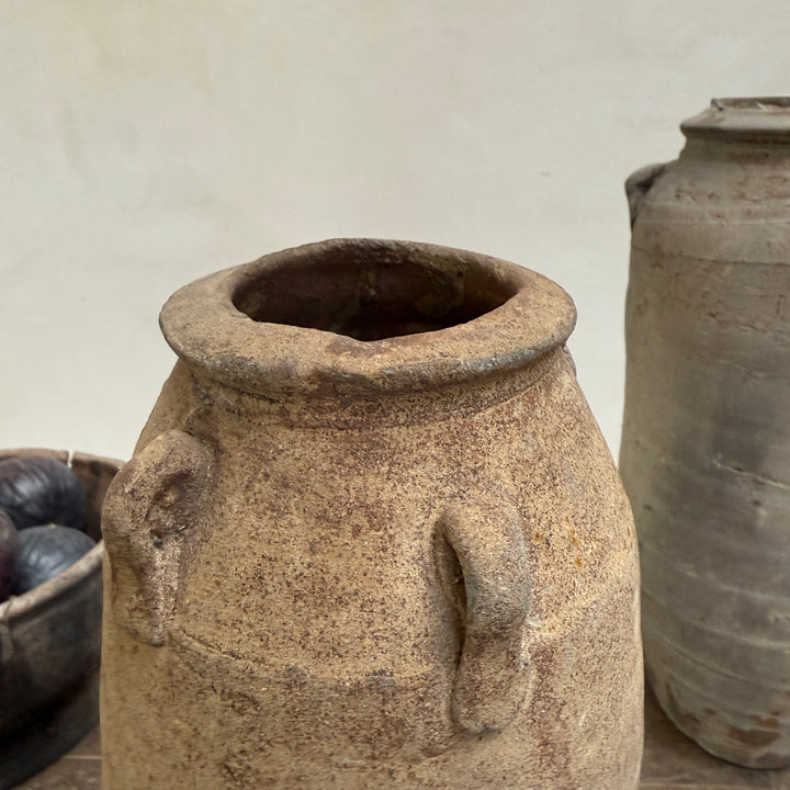 14th Century Shipwreck pot | Darlina