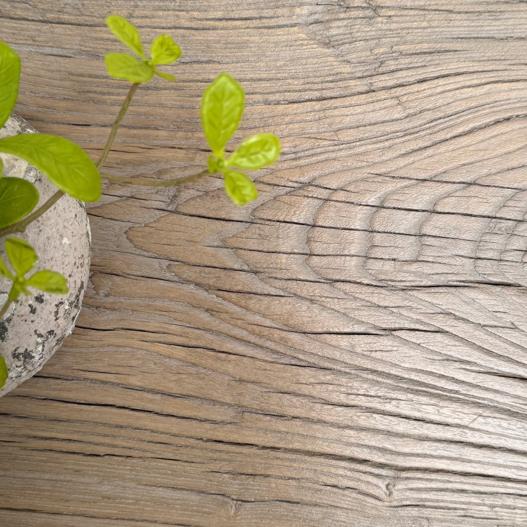 Reclaimed Rustic Elm Bench | Cambridge