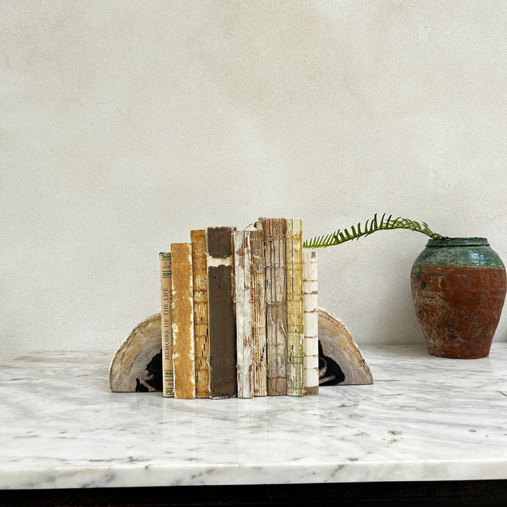 Petrified Wood Pair of Bookends