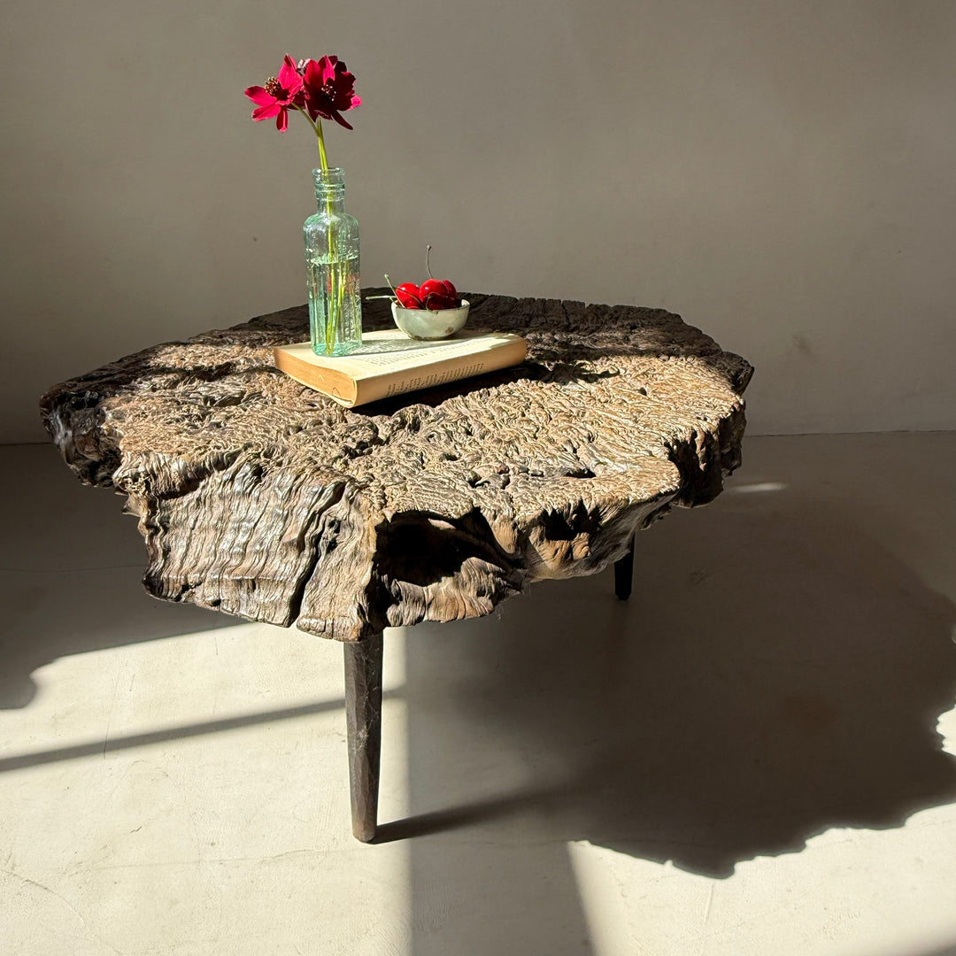 Antique burr root coffee table | Lilliana