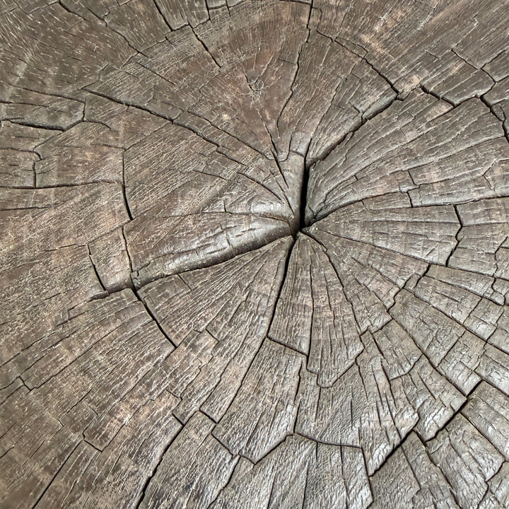 Pair of small burr walnut side tables