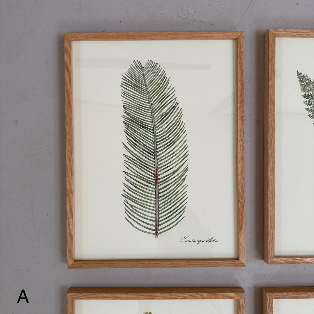 Oak Framed Botanical Prints