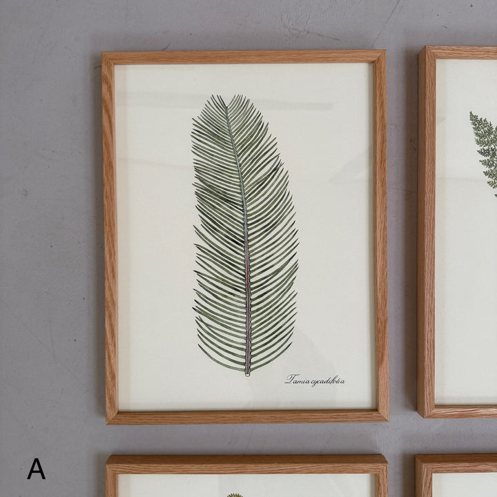 Oak Framed Botanical Prints