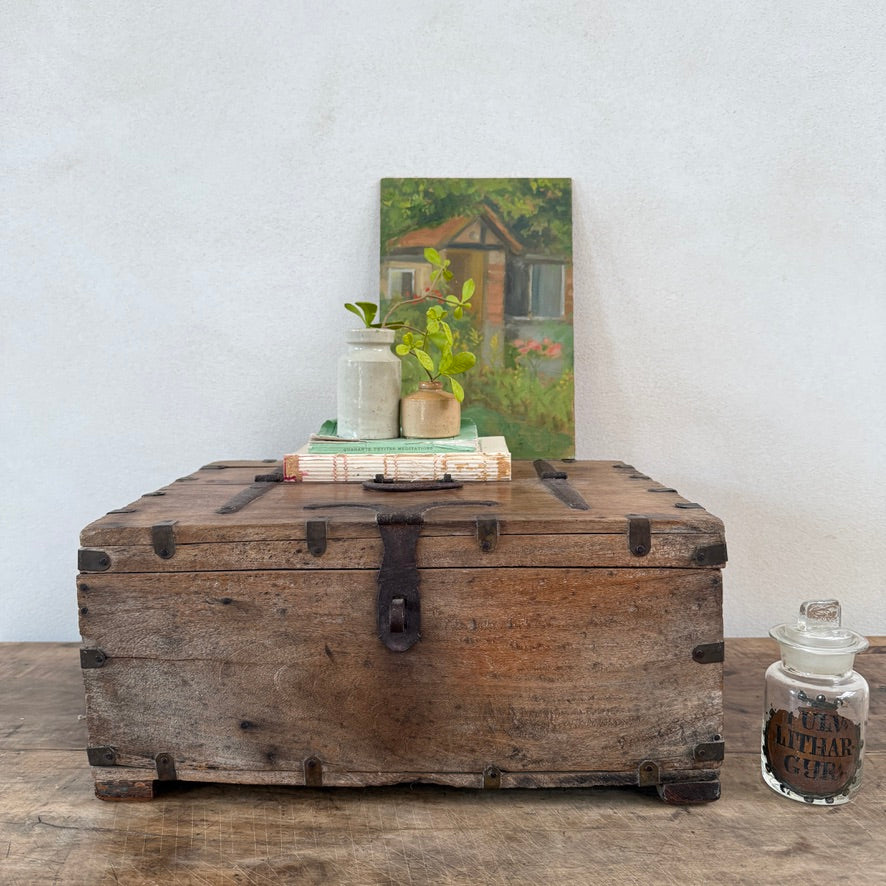 Antique Indian Elm Storage Box | Nina