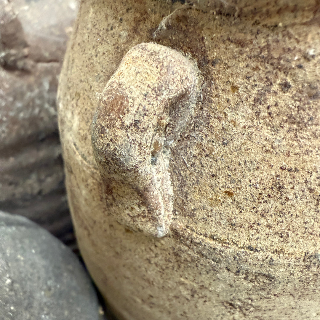 14th Century Shipwreck pot | Darlina