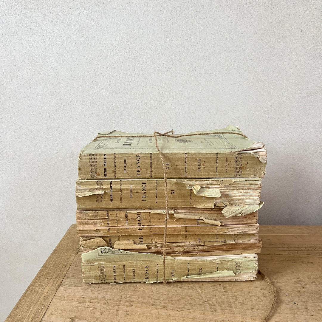 Antique French Five Book Bundle