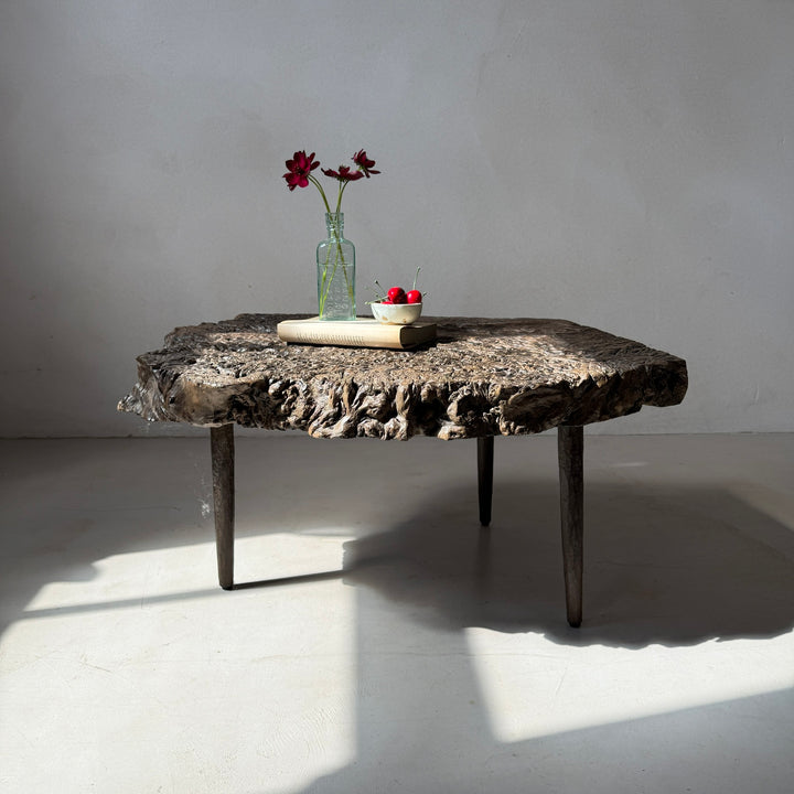 Antique burr root coffee table | Lilliana