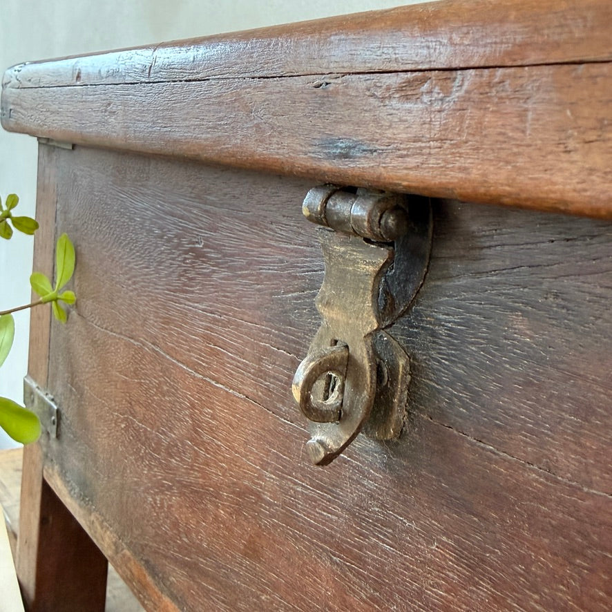 Antique Indian Teak Storage Box | Tara