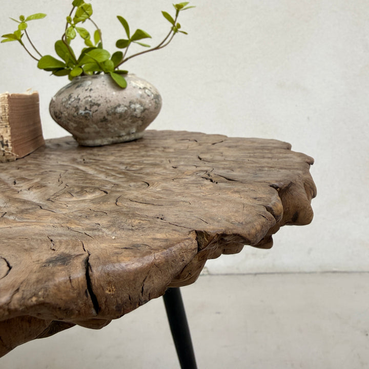 Ancient burr elm side table | Octavia
