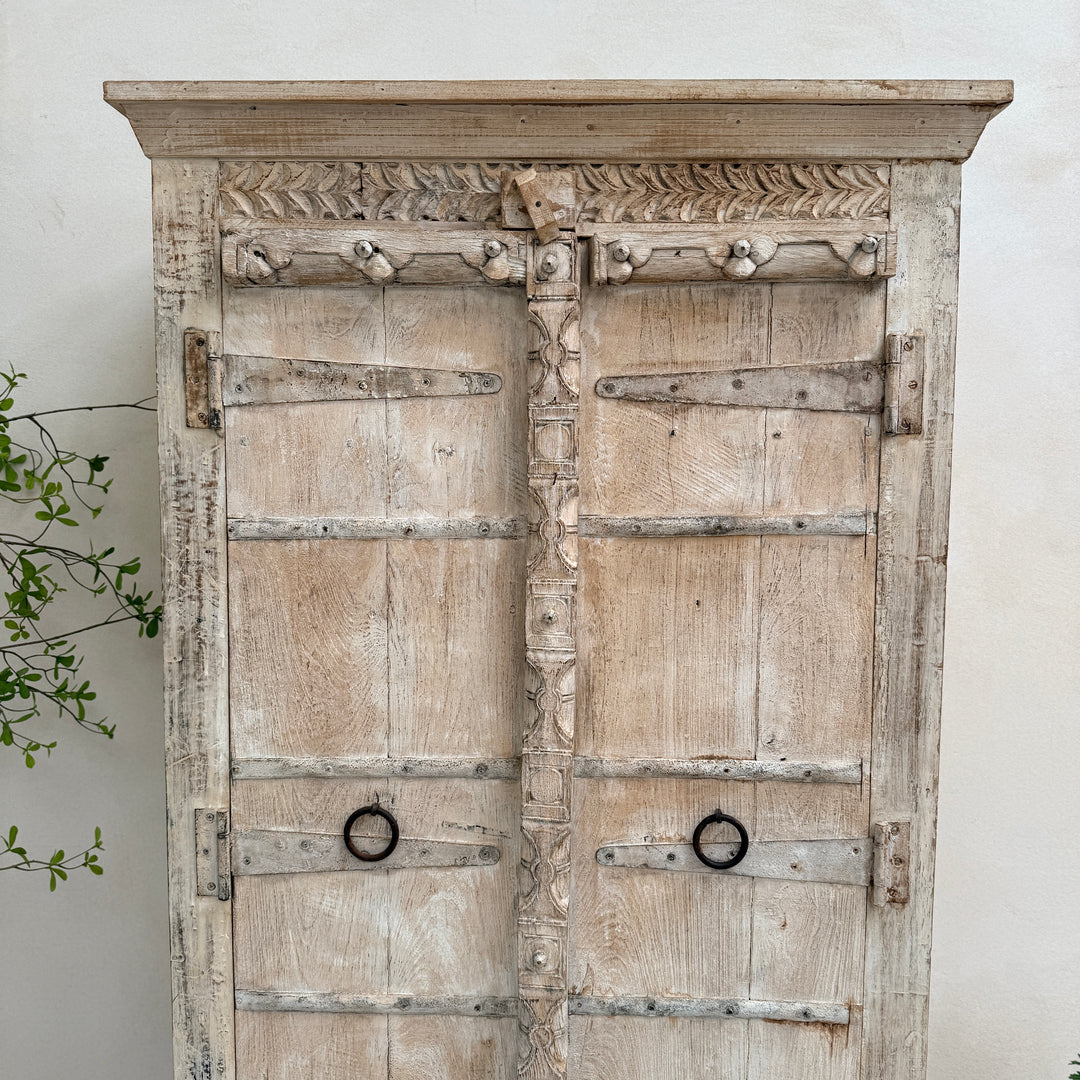 Salvaged Indian Antique Door Cupboard Rena