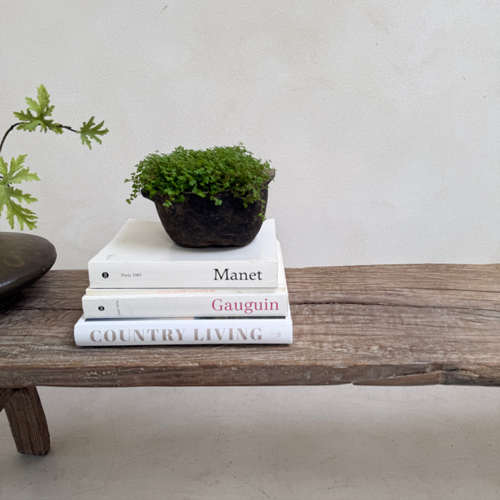 Antique Rustic Bench Caspar