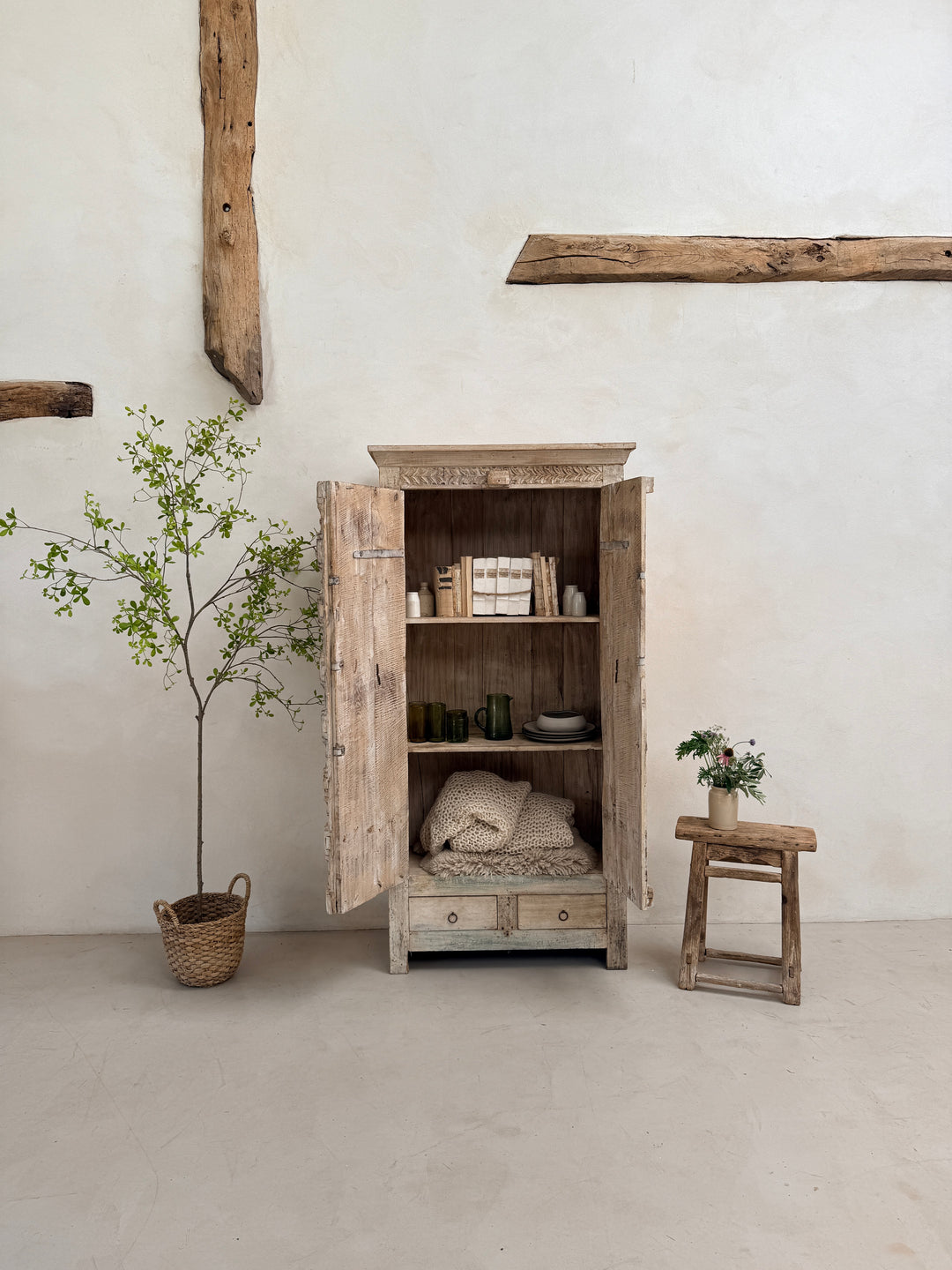 Salvaged Indian Antique Door Cupboard Rena