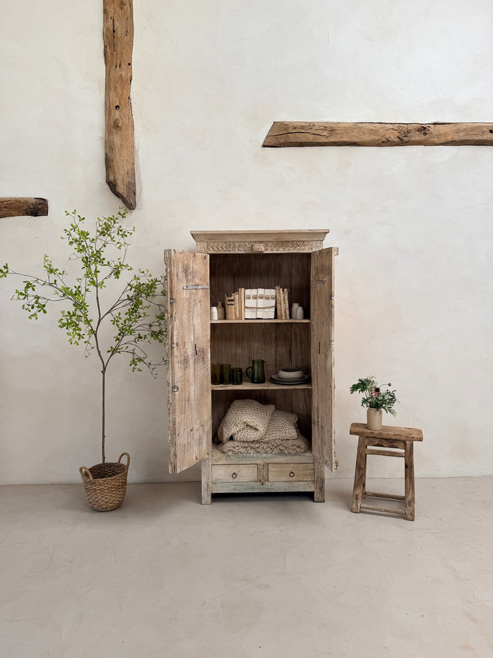 Salvaged Indian Antique Door Cupboard Rena
