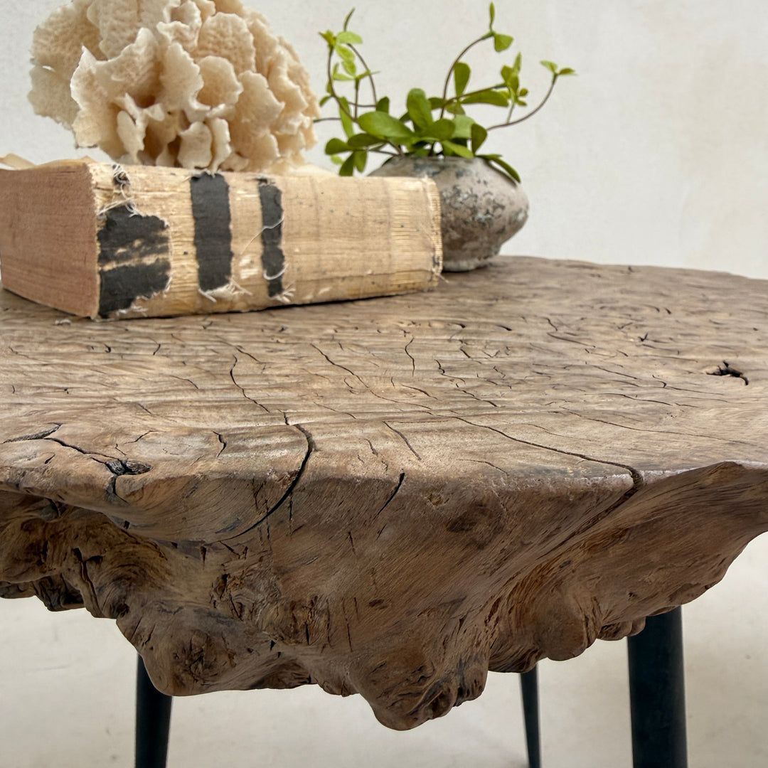 Ancient burr elm side table | Octavia