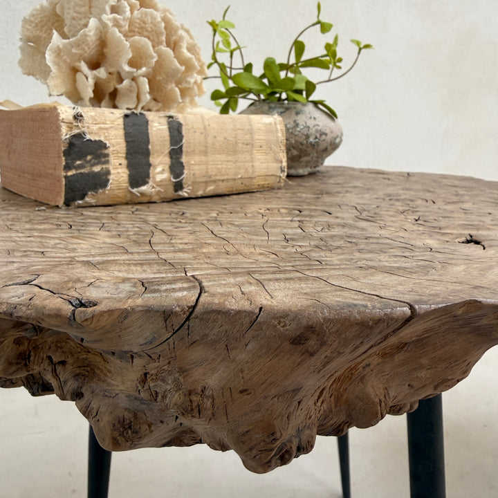Ancient burr elm side table | Octavia