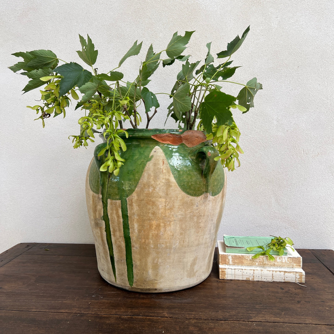 Antique Spanish Olive Urn Medium | B
