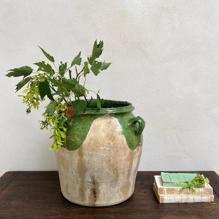 Antique Spanish Olive Urn Medium | B