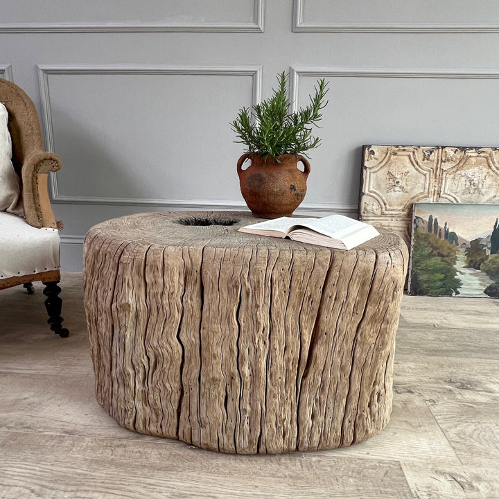 Anicent Tree trunk Side Table Bruton