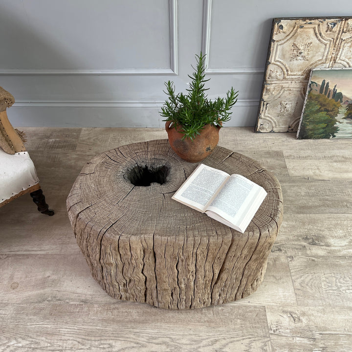 Anicent Tree trunk Side Table Bruton