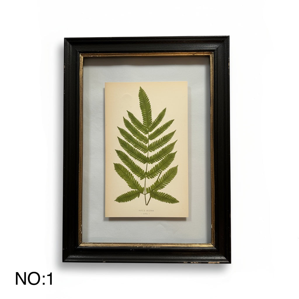 Antique Black Framed Fern Print | Small