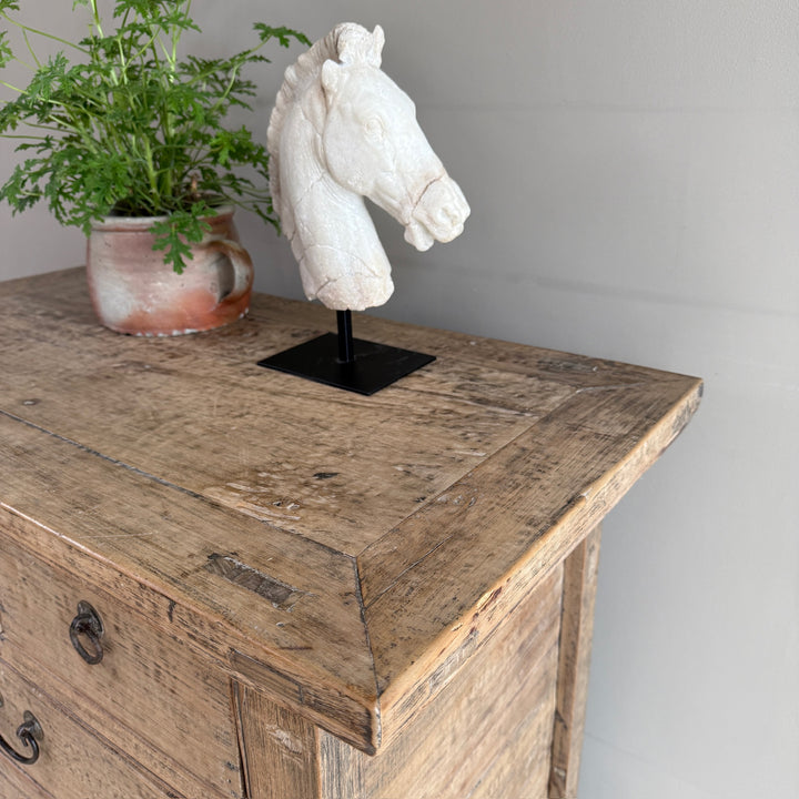A white horse head sculpture on a black stand displayed on top of a rustic wooden chest, next to a potted green plant.