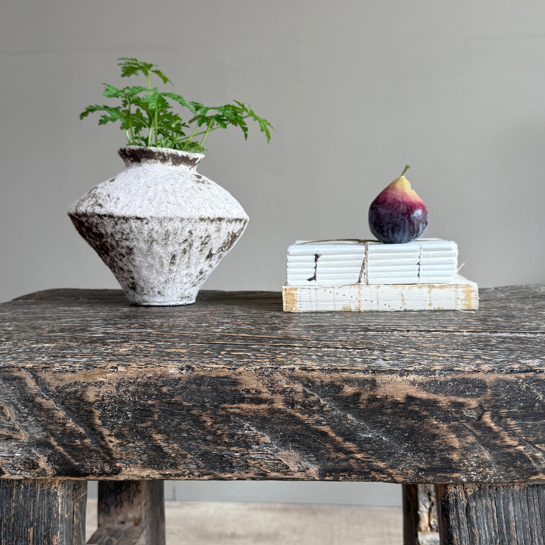 A rustic white and gray textured ceramic vase with a green plant, placed on a dark wooden table next to a stack of white books and a purple fig fruit.