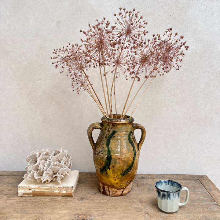 Antique Mediterranean Pot Bari