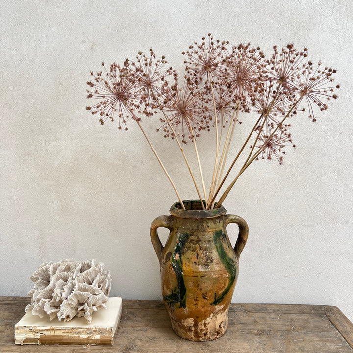Antique Mediterranean Pot Bari