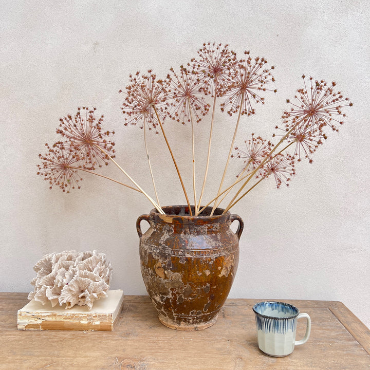 Antique Mediterranean Pot Catania