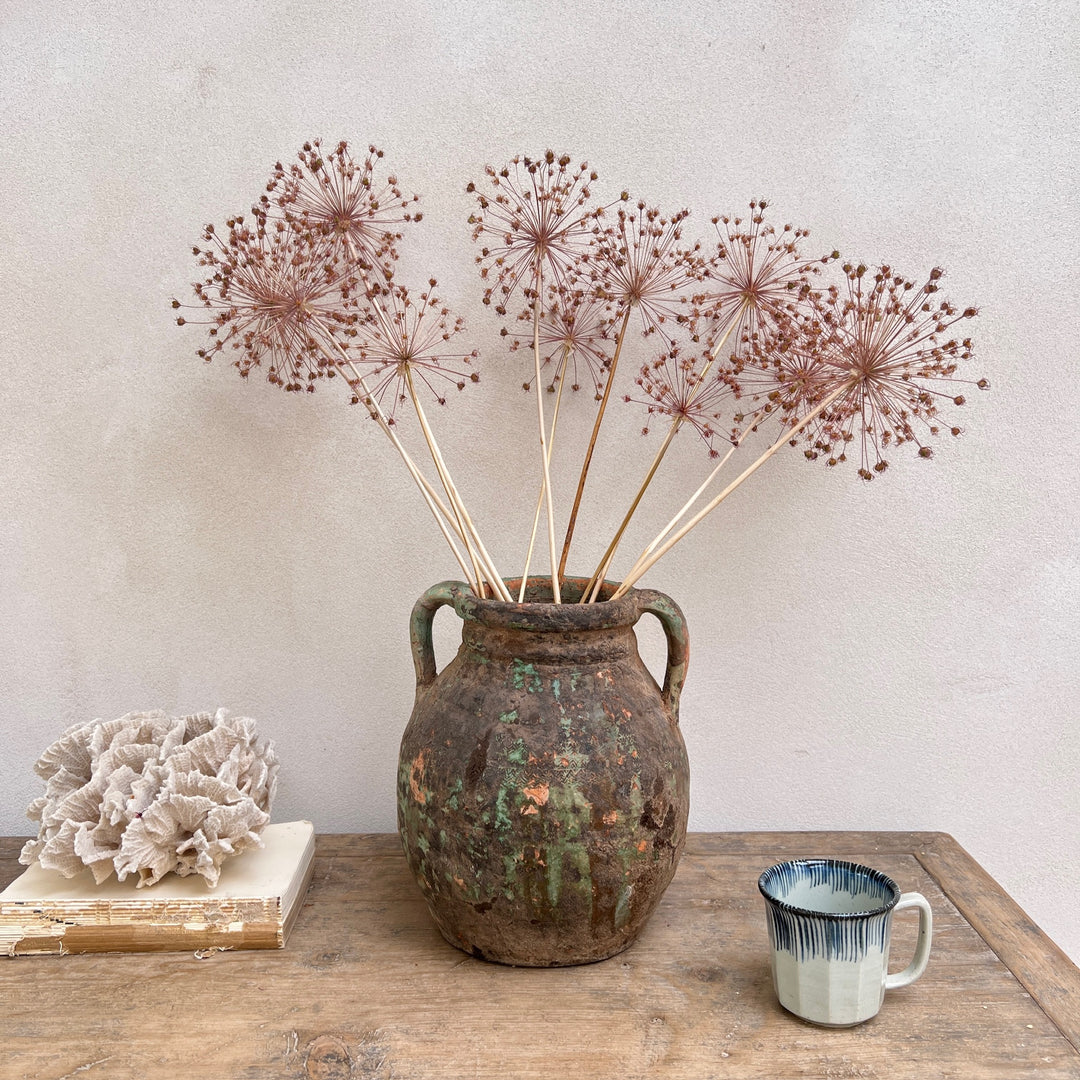 Antique Mediterranean Pot Trieste