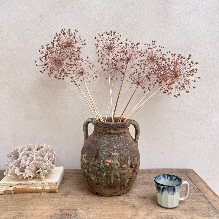 Antique Mediterranean Pot Trieste