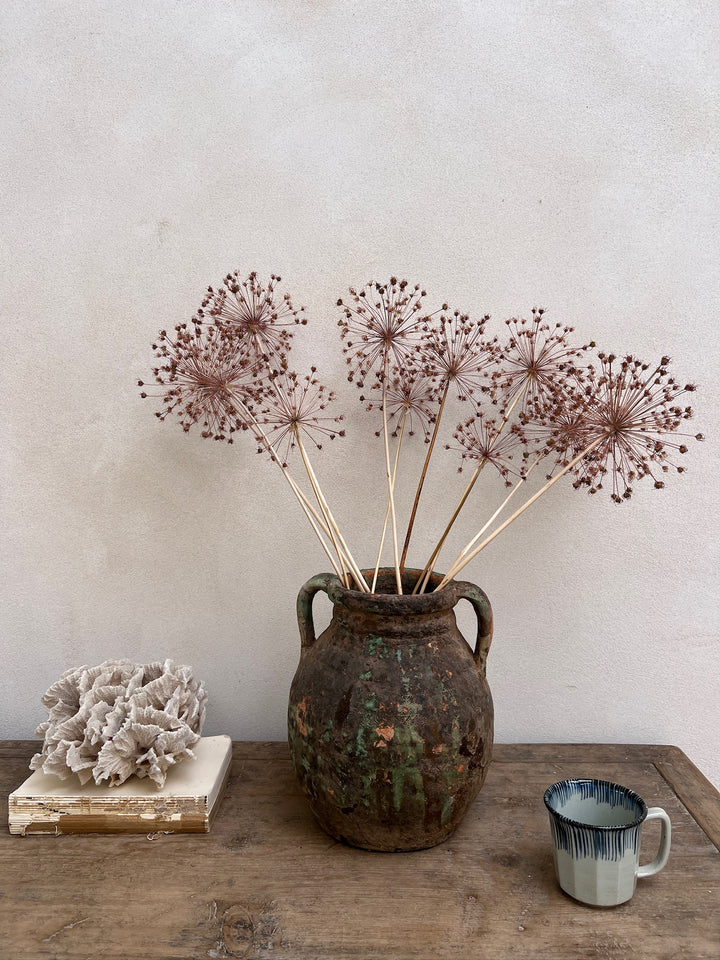 Antique Mediterranean Pot Trieste