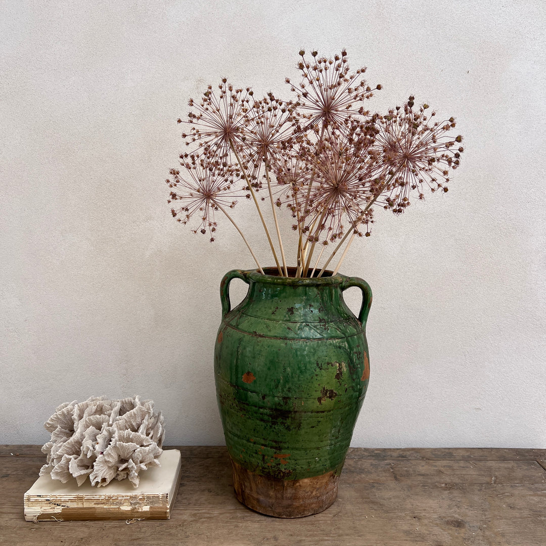 Antique Mediterranean Urn Genoa