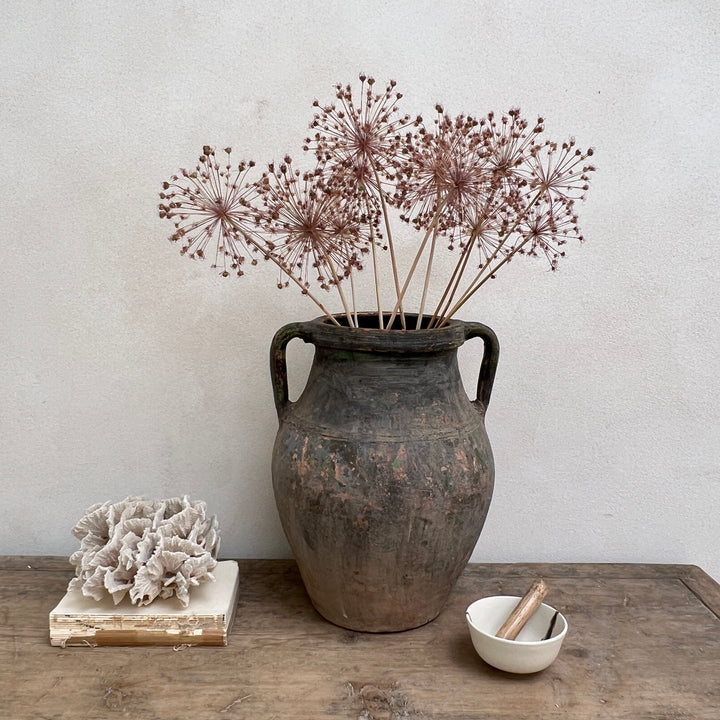 Antique Mediterranean Urn Palermo

Decorative vase with dried flowers on a wooden surface against a plain wall