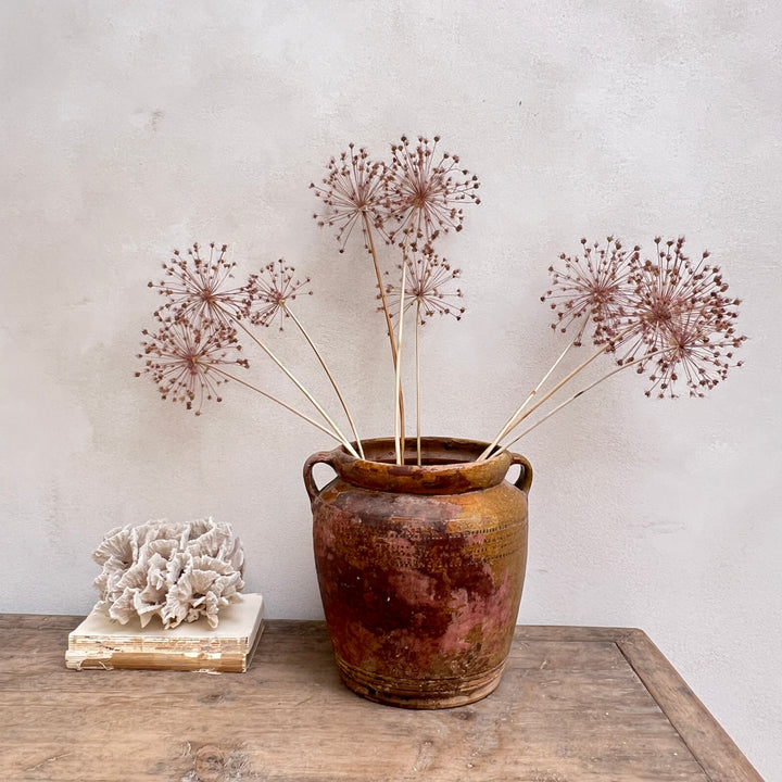 Antique Mediterranean Urn Venice