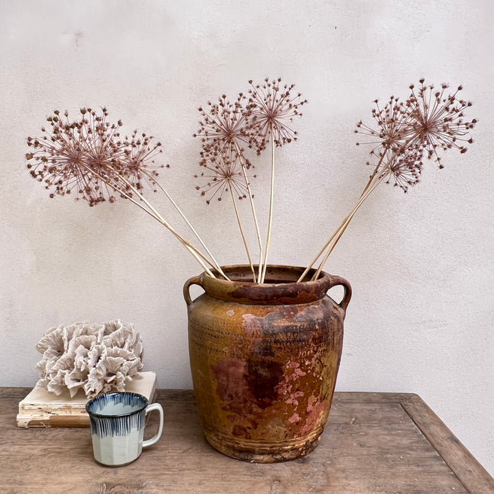 Antique Mediterranean Urn Venice