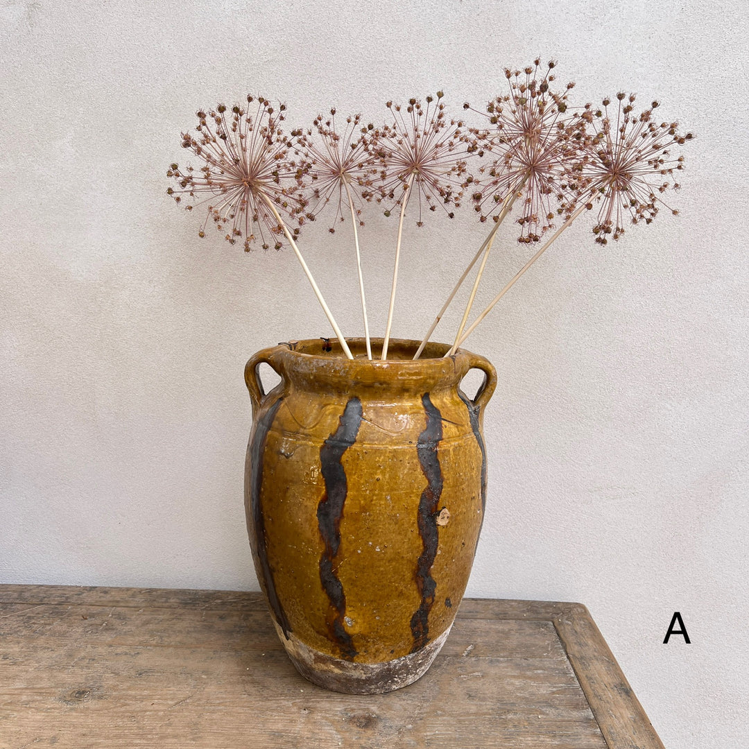 Antique Mediterranean Urn Verona