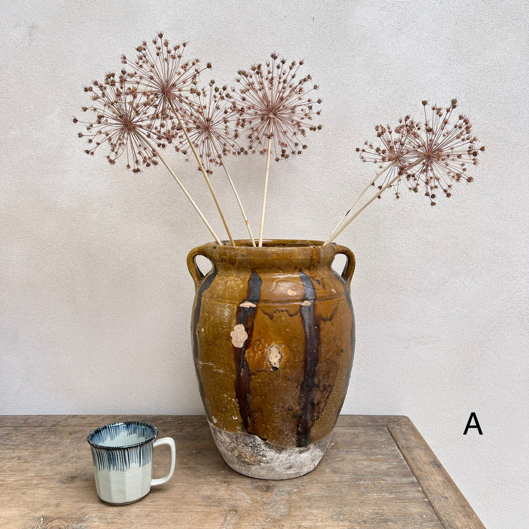 Antique Mediterranean Urn Verona